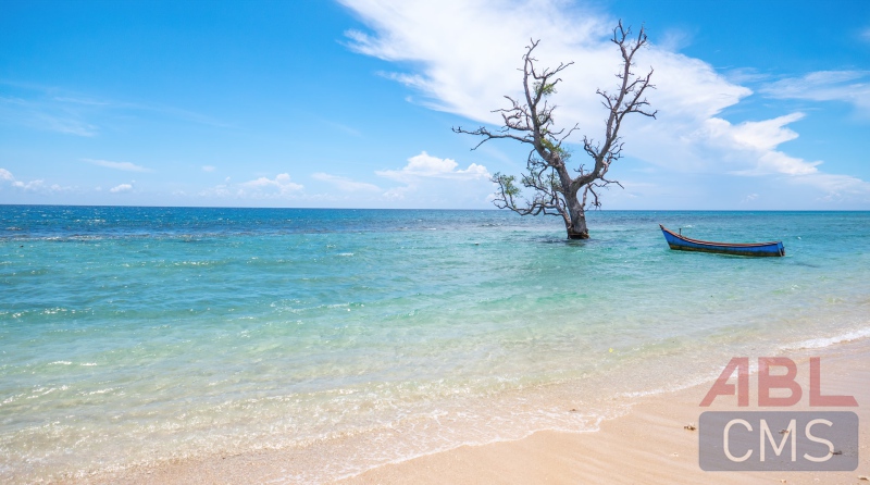 Lorem ipsum dolor sit amet consectetur - 5